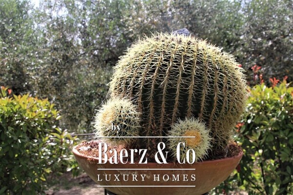 photo 37 Villa for sale 350 m²