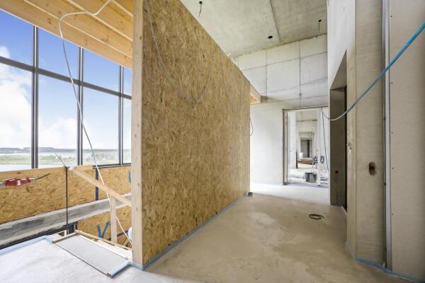 photo 8 Wimpelplantsoen 442