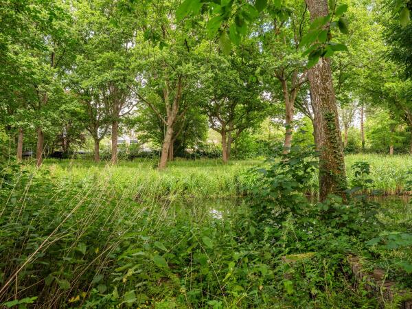 photo 42 Noordlaan 27