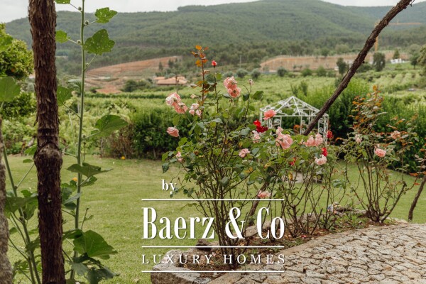 photo 14 Magnificent Manor House with winery