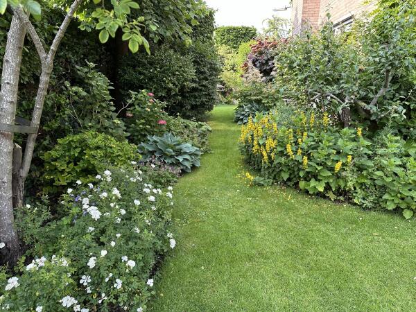 photo 52 Lijsterlaan 2 b