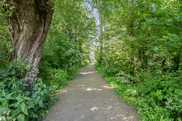 photo 70 Oudedijk 92 A