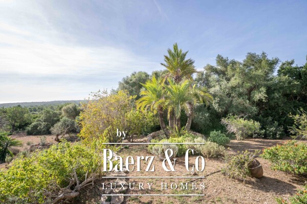 photo 5 Beautiful luxury home in Manacor