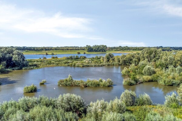 photo 55 Utrechtsestraatweg 31