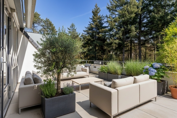 photo 2 Palisiumpark 26