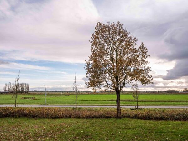 photo 23 Lijtweg 155