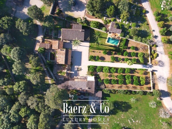 photo 2 Exclusive Wine Estate with Bodega, Olive Grove and 10 Hectares of Private Forest