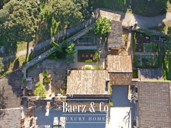 photo 5 Exclusive Wine Estate with Bodega, Olive Grove and 10 Hectares of Private Forest