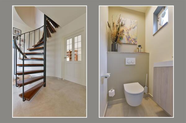 photo 20 Timotheegras 13