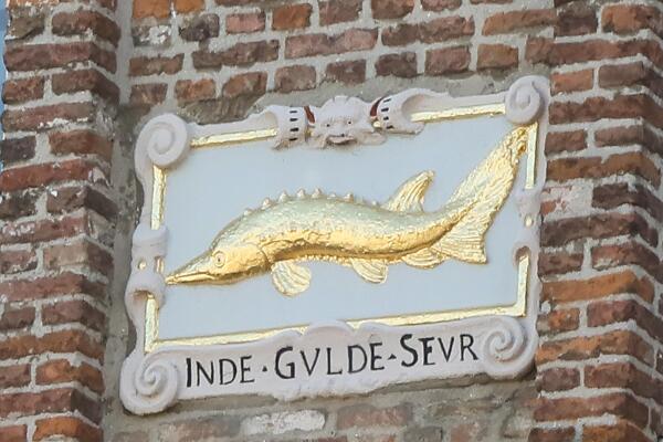 photo 53 Visstraat 48
